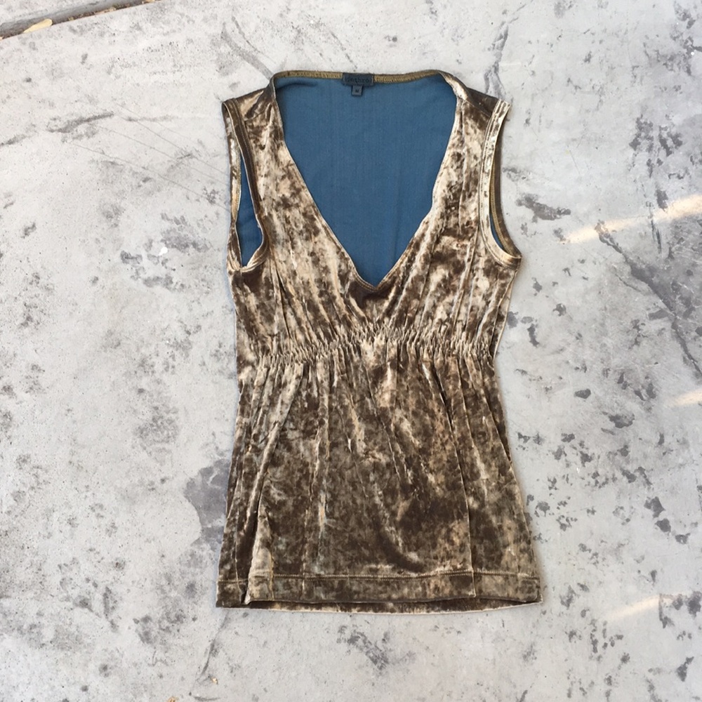 Iridescent Crushed velvet gold top